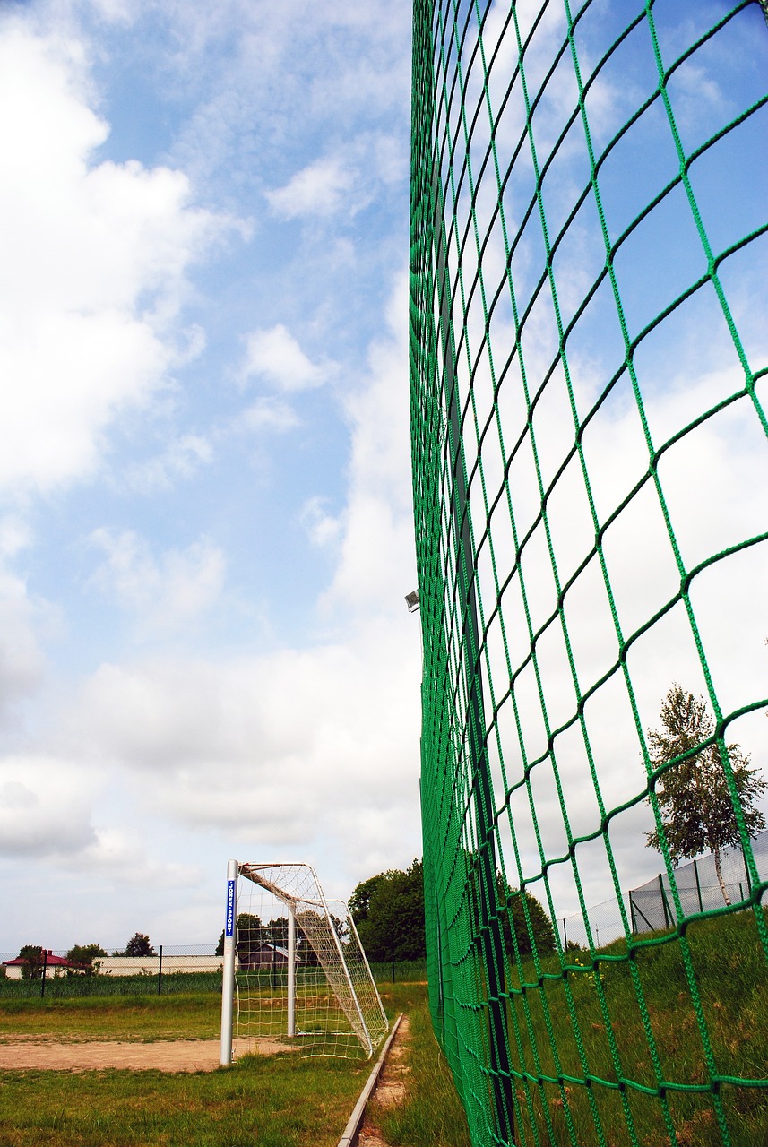 的確是偏低 的確是偏低