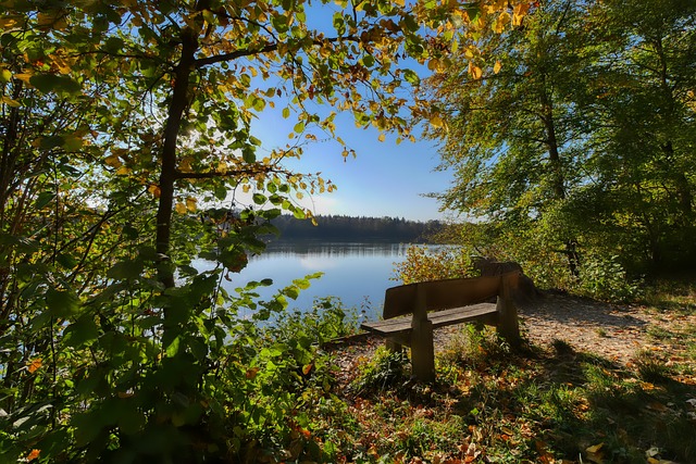 球队的整体 球队的整体