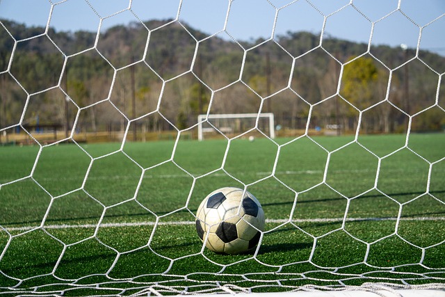 仅是这位球 仅是这位球