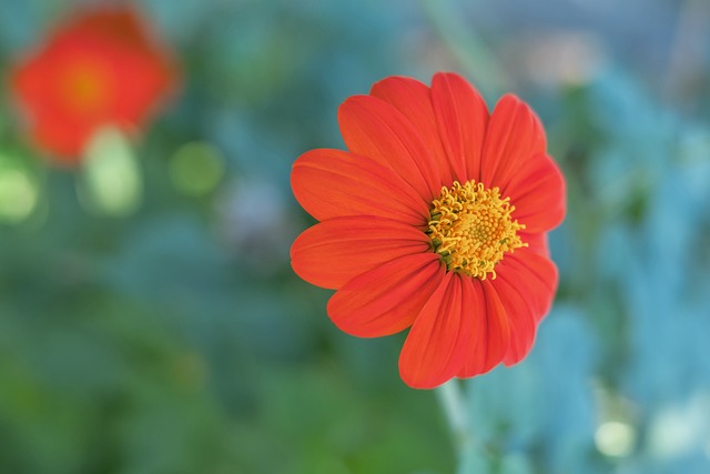 赛后分析显 赛后分析显