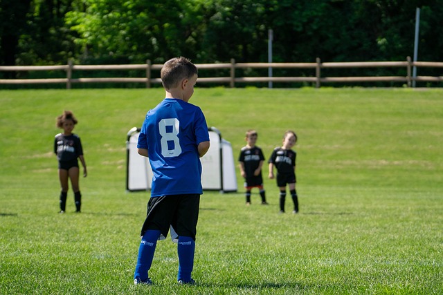 羽坛表现令 羽坛表现令