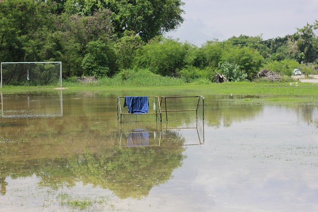 竞技状态 竞技状态