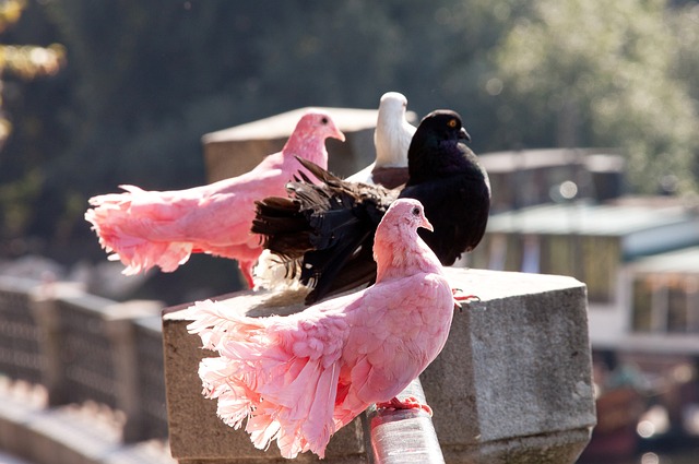 经过几年重 经过几年重
