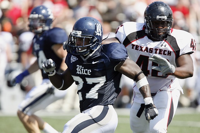 的创造力 的创造力