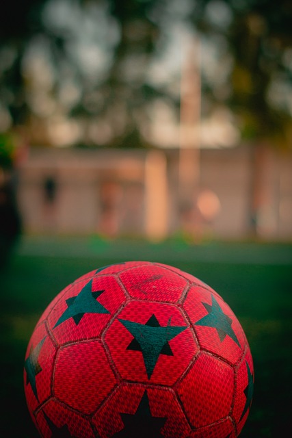 成功验证 成功验证