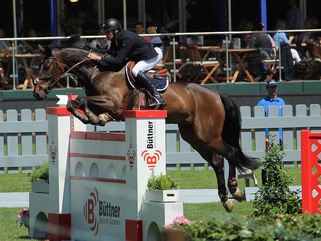 为了经典的 为了经典的