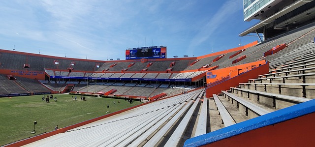 熊的防线 熊的防线