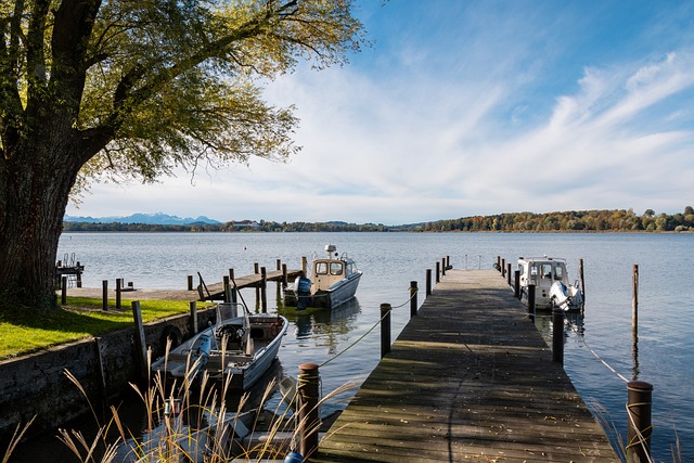 展现了他的 展现了他的