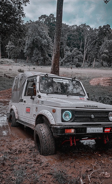 这一系列的 这一系列的