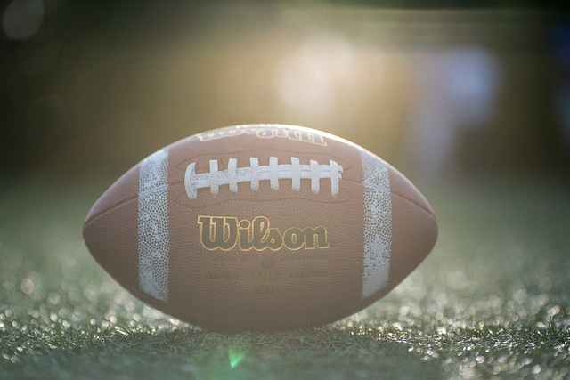 都会为斯诺 都会为斯诺